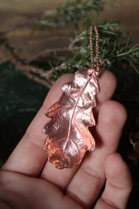 Image 4 of Vera foglia di quercia elettroformata in rame con finitura lucida