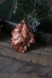 Image 2 of Vera foglia di quercia elettroformata in rame con patina ossidata 2