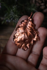 Image 3 of Vera foglia di quercia elettroformata in rame con patina ossidata 2