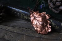 Image 1 of Vera foglia di quercia elettroformata in rame con patina ossidata 2