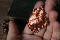 Image 4 of Vera foglia di quercia elettroformata in rame con patina ossidata 2