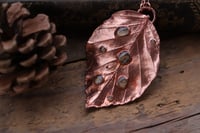 Image 1 of Vera foglia di faggio in rame lucido - Sotto la superficie (le irlandesi)