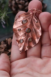 Image 2 of Vera foglia di faggio in rame lucido - Sotto la superficie (le irlandesi)