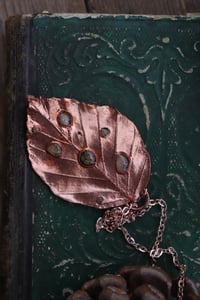 Image 3 of Vera foglia di faggio in rame lucido - Sotto la superficie (le irlandesi)