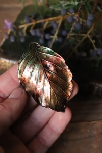 Image 2 of Vera foglia di faggio elettroformata in rame con patina autunnale 2