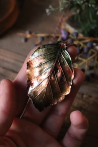 Image 4 of Vera foglia di faggio elettroformata in rame con patina autunnale 2