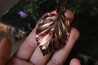 Image 1 of Vera foglia di faggio elettroformata in rame con patina autunnale 1