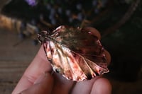 Image 2 of Vera foglia di faggio elettroformata in rame con patina autunnale 1