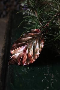 Image 3 of Vera foglia di faggio elettroformata in rame con patina autunnale 1