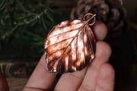 Image 1 of Vera foglia di faggio elettroformata in rame con patina ossidata