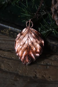 Image 2 of Vera foglia di faggio elettroformata in rame con patina ossidata