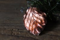 Image 3 of Vera foglia di faggio elettroformata in rame con patina ossidata