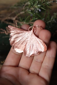 Image 1 of Vera foglia di ginkgo biloba elettroformata in rame lucido 2