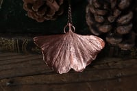 Image 2 of Vera foglia di ginkgo biloba elettroformata in rame lucido 2