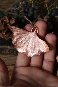 Image 3 of Vera foglia di ginkgo biloba elettroformata in rame lucido 2