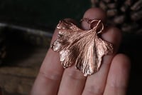 Image 1 of Vera foglia di ginkgo biloba elettroformata in rame lucido 1