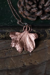 Image 2 of Vera foglia di ginkgo biloba elettroformata in rame lucido 1