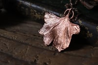 Image 3 of Vera foglia di ginkgo biloba elettroformata in rame lucido 1