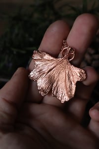 Image 4 of Vera foglia di ginkgo biloba elettroformata in rame lucido 1