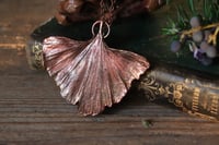 Image 1 of Vera foglia di ginkgo biloba elettroformata in rame con patina ossidata