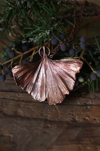 Image 2 of Vera foglia di ginkgo biloba elettroformata in rame con patina ossidata