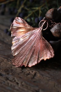 Image 4 of Vera foglia di ginkgo biloba elettroformata in rame con patina ossidata