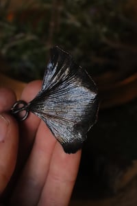 Image 2 of Vera foglia di ginkgo biloba elettroformata in rame con patina nera