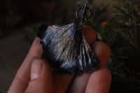 Image 4 of Vera foglia di ginkgo biloba elettroformata in rame con patina nera