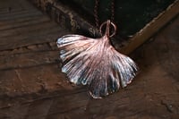 Image 3 of Vera foglia di ginkgo biloba elettroformata in rame con patina teal