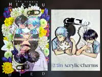 Image 1 of The Summer Hikaru Died 2.5in Charms