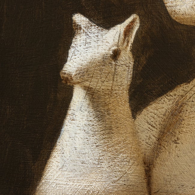 Woman With Her Pet  V 