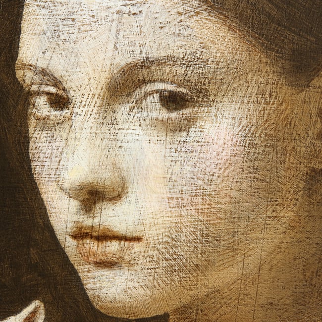 Woman With Her Pet  V 