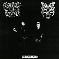 Cachot d'Effroi / Wolftower - Split MMXXIV LP