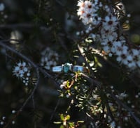 Image 1 of Turquoise & Silver