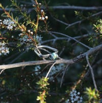Image 4 of Turquoise & Silver