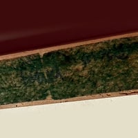 Image 4 of 2013 Mystic Timber 28 Hole Tips Down In-Store Display