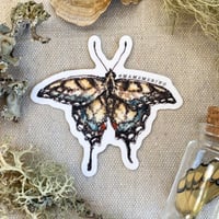 Image 1 of swallowtail butterfly sticker