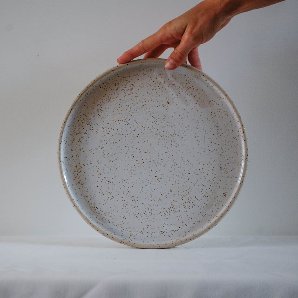 Image of Big plate - White speckle