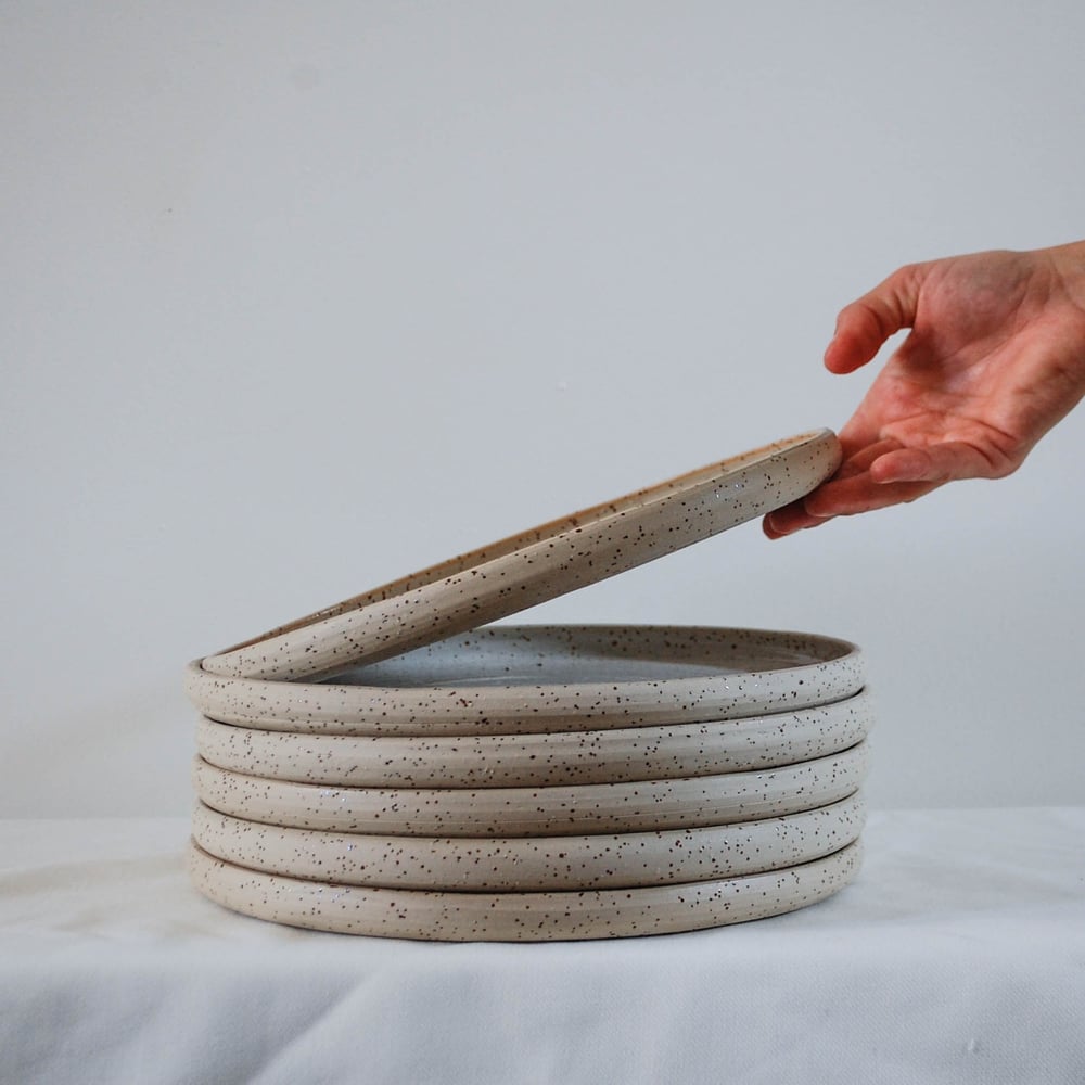 Image of Big plate - White speckle