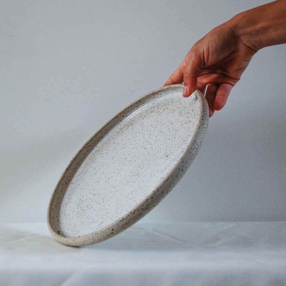 Image of Big plate - White speckle
