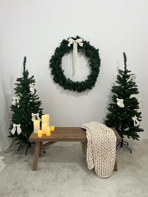 Image of Christmas Minis Nov 16