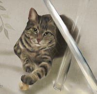 Image 5 of Custom pet portrait Canvas ready to hang