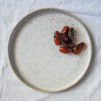 Image 1 of Big plate - White speckle