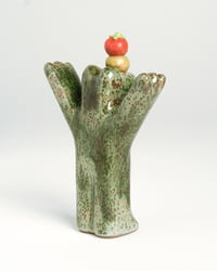 Image 2 of Tomato Abundance, Baby!