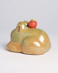 Image 3 of Mid-ripe Baby