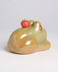 Image 4 of Mid-ripe Baby