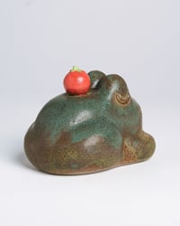 Image 4 of Growth Baby