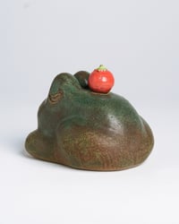 Image 3 of Growth Baby