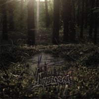 Древород - Я клянусь, что вернусь сюда (I Swear to Return Here) CD