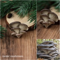Image 8 of Mushroom necklace - browns